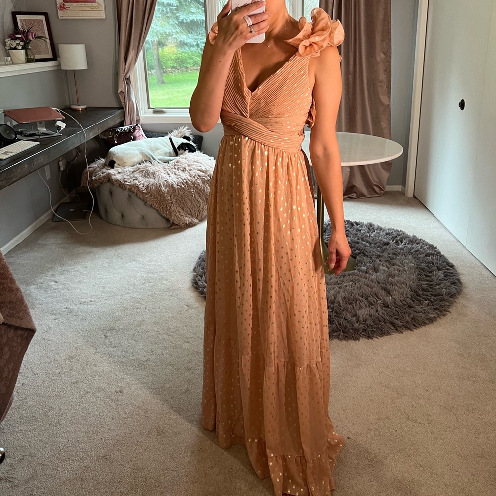 VICI Blush Colored Maxi Dress XS